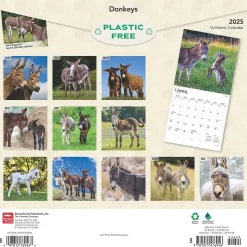 2025 BrownTrout Donkeys 12" x 24" Monthly Square Wall Calendar, (9781975476946)