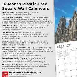 2025 BrownTrout England 12