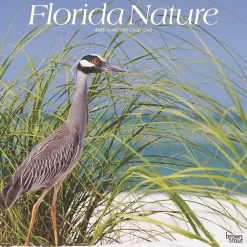 2025 BrownTrout Florida Nature 12" x 24" Monthly Square Wall Calendar, (9781975474805)