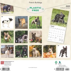 2025 BrownTrout French Bulldogs 12" x 12" Monthly Square Wall Calendar (9781975476984)