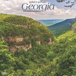 2025 BrownTrout Georgia Wild & Scenic 12" x 12" Monthly Square Wall Calendar (9781975474836)