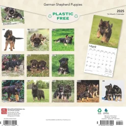2025 BrownTrout German Shepherd Puppies 12" x 12" Monthly Square Wall Calendar (9781975477004)