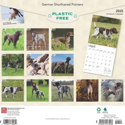 2025 BrownTrout German Shorthaired Pointers 12" x 12" Monthly Square Wall Calendar (9781975477028)
