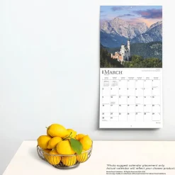 2025 BrownTrout Germany 12