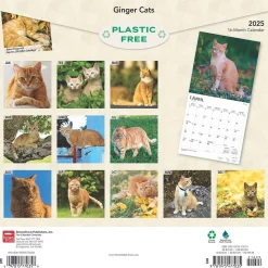 2025 BrownTrout Ginger Cats 12" x 12" Monthly Wall Calendar (9781975477035)