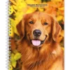 2025 BrownTrout Golden Retrievers 6" x 7.75" Weekly Engagement Planner, Paper Cover, Multicolored (9781975473150)