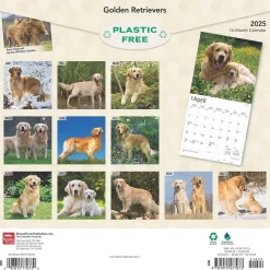 2025 BrownTrout Golden Retrievers 12" x 12" Monthly Square Wall Calendar (9781975477073)