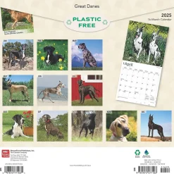 2025 BrownTrout Great Danes 12" x 12" Monthly Square Wall Calendar (9781975477103)