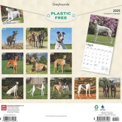 2025 BrownTrout Greyhounds 12" x 12" Monthly Wall Calendar (9781975477127)