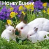 2025 BrownTrout Honey Bunny 12" x 12" Monthly Wall Calendar (9781975474911)