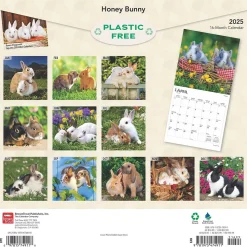 2025 BrownTrout Honey Bunny 12" x 12" Monthly Wall Calendar (9781975474911)