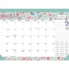 2025 BrownTrout House of Turnowsky 17" x 12" Monthly Desk Pad Calendar (9781975481261)