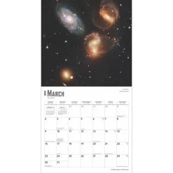 2025 BrownTrout Hubble Space Telescope 12