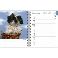 2025 BrownTrout I Love Puppies 6