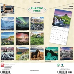 2025 BrownTrout Iceland 12" x 12" Monthly Wall Calendar (9781975476175)