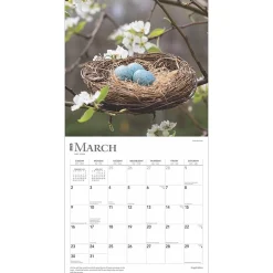 2025 BrownTrout Inspiration 12