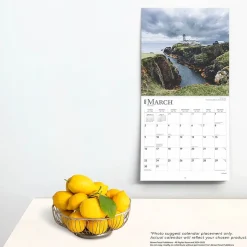 2025 BrownTrout Ireland 12