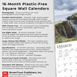 2025 BrownTrout Ireland 12