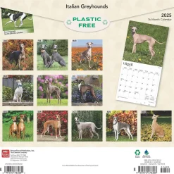 2025 BrownTrout Italian Greyhounds 12" x 12" Monthly Wall Calendar (9781975478308)