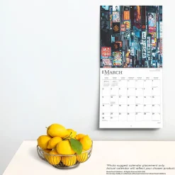 2025 BrownTrout Japan 12