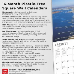 2025 BrownTrout Jersey Shore 12