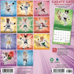 2025 BrownTrout Karate Cats 7" x 14" Monthly Mini Wall Calendar, (9781975479541)