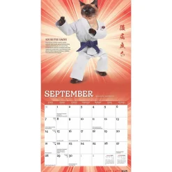 2025 BrownTrout Karate Cats 7