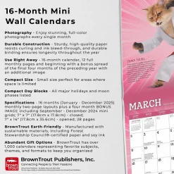 2025 BrownTrout Karate Cats 7