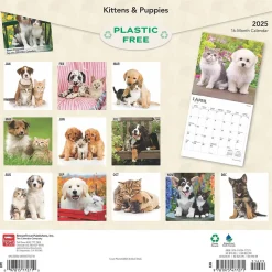 2025 BrownTrout Kittens & Puppies 12" x 12" Monthly Wall Calendar (9781975477271)