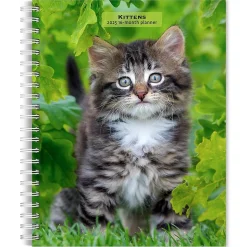 2025 BrownTrout Kittens 6" x 7.75" Weekly Engagement Planner, Paper Cover, Multicolored (9781975473136)