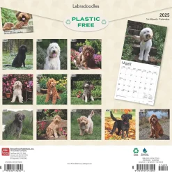 2025 BrownTrout Labradoodles 12" x 24" Monthly Square Wall Calendar, (9781975477295)
