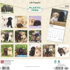 2025 BrownTrout Labrador Retriever Puppies 12" x 12" Monthly Wall Calendar (9781975477301)