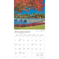 2025 BrownTrout Lake Michigan 12