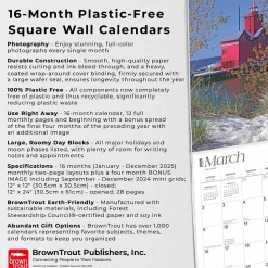 2025 BrownTrout Lake Michigan 12