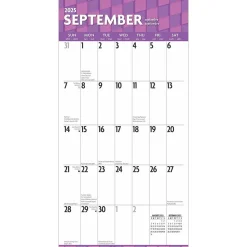 2025 BrownTrout Large Print 12