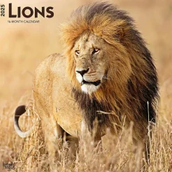 2025 BrownTrout Lions 12" x 12" Monthly Wall Calendar (9781975476458)