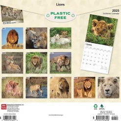 2025 BrownTrout Lions 12" x 12" Monthly Wall Calendar (9781975476458)