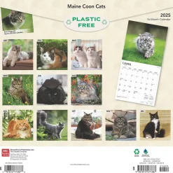 2025 BrownTrout Maine Coon Cats 12" x 24" Monthly Square Wall Calendar, (9781975477387)