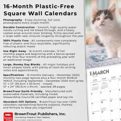 2025 BrownTrout Maine Coon Cats 12