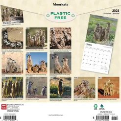 2025 BrownTrout Meerkats 12" x 12" Monthly Square Wall Calendar (9781975475215)