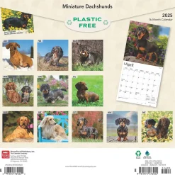 2025 BrownTrout Miniature Dachshunds 12" x 24" Monthly Square Wall Calendar, (9781975476922)