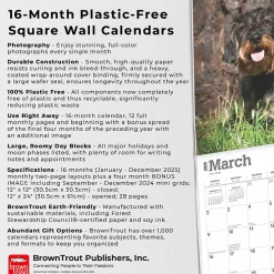 2025 BrownTrout Miniature Dachshunds 12