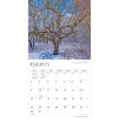 2025 BrownTrout Minnesota Wild & Scenic 12