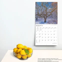 2025 BrownTrout Minnesota Wild & Scenic 12