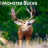 2025 BrownTrout Monster Bucks 12" x 24" Monthly Square Wall Calendar (9781975477448)