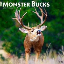 2025 BrownTrout Monster Bucks 12" x 24" Monthly Square Wall Calendar (9781975477448)
