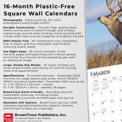 2025 BrownTrout Monster Bucks 12