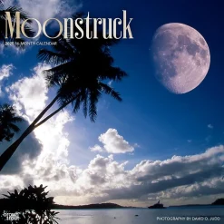 2025 BrownTrout Moonstruck 12" x 24" Monthly Square Wall Calendar (9781975477455)