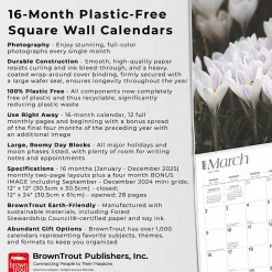 2025 BrownTrout Mountain Wildflowers 12