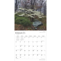 2025 BrownTrout New York Wild & Scenic 12